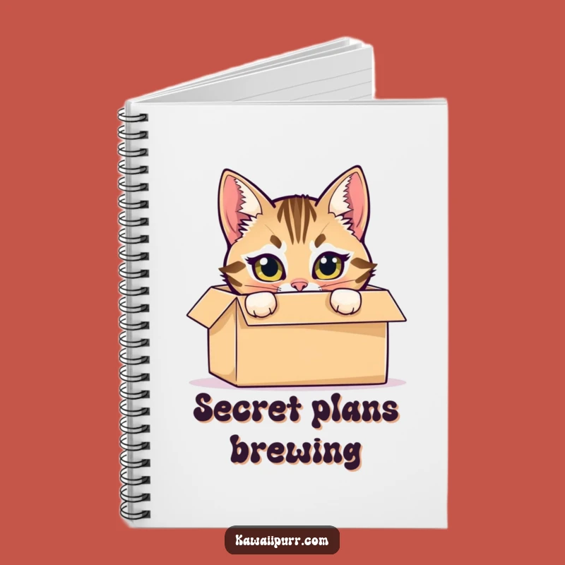 Funny Tabby Cat Box Notebook: Hide Your Mischievous Notes